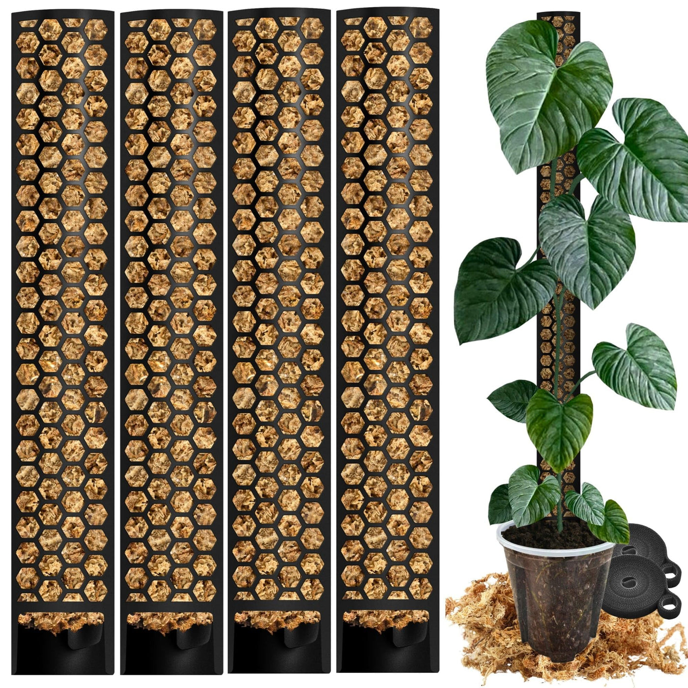 LEAFers Moosstab Basic 60 cm – für Monstera, Philodendron & Kletterpflanzen