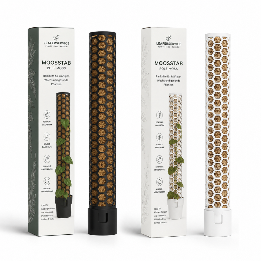 LEAFers Moosstab Basic 60 cm – für Monstera, Philodendron & Kletterpflanzen