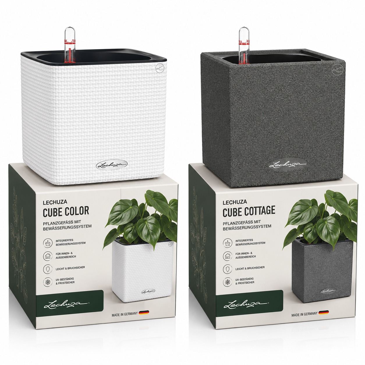 Lechuza Cube Color & Lechuza Cube Canto
