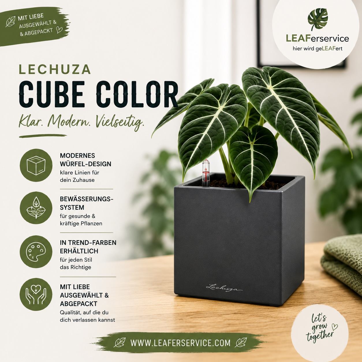 Lechuza Cube Color & Lechuza Cube Canto | Leaferservice.com